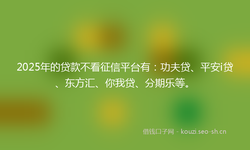 2025年的贷款不看征信平台有：功夫贷、平安i贷、东方汇、你我贷、分期乐等。