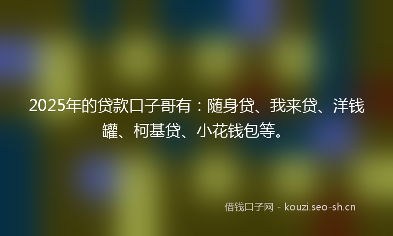 2025年的贷款口子哥有：随身贷、我来贷、洋钱罐、柯基贷、小花钱包等。