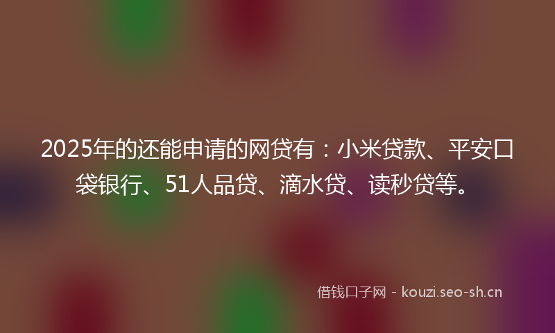 2025年的还能申请的网贷有：小米贷款、平安口袋银行、51人品贷、滴水贷、读秒贷等。