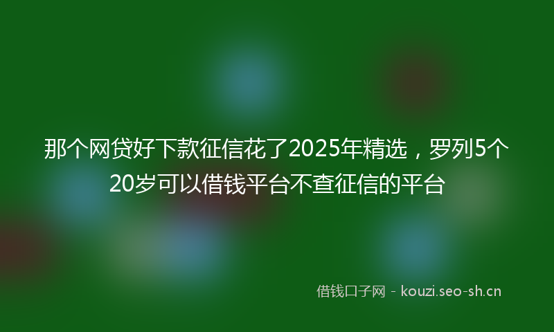 那个网贷好下款征信花了2025年精选，罗列5个20岁可以借钱平台不查征信的平台