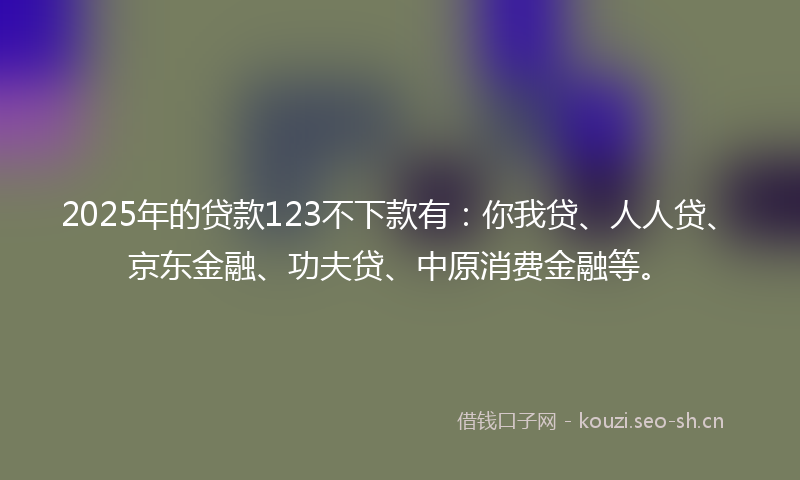 2025年的贷款123不下款有：你我贷、人人贷、京东金融、功夫贷、中原消费金融等。
