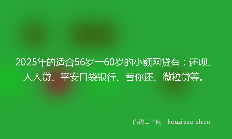 2025年的适合56岁一60岁的小额网贷有：还呗、人人贷、平安口袋银行、替你还、微粒贷等。