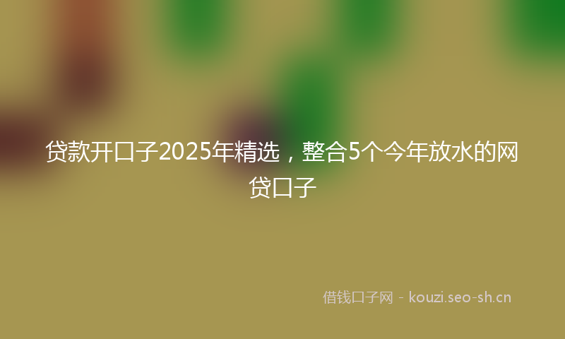 贷款开口子2025年精选，整合5个今年放水的网贷口子
