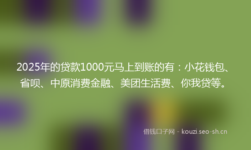 2025年的贷款1000元马上到账的有：小花钱包、省呗、中原消费金融、美团生活费、你我贷等。