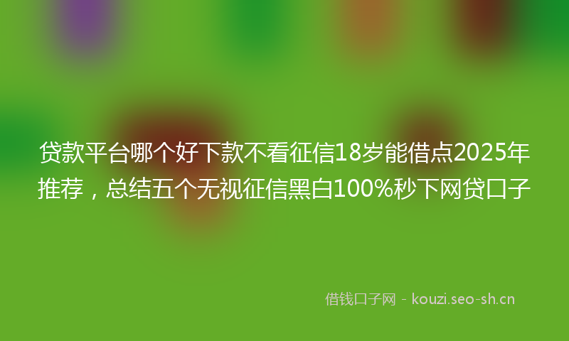 贷款平台哪个好下款不看征信18岁能借点2025年推荐，总结五个无视征信黑白100%秒下网贷口子