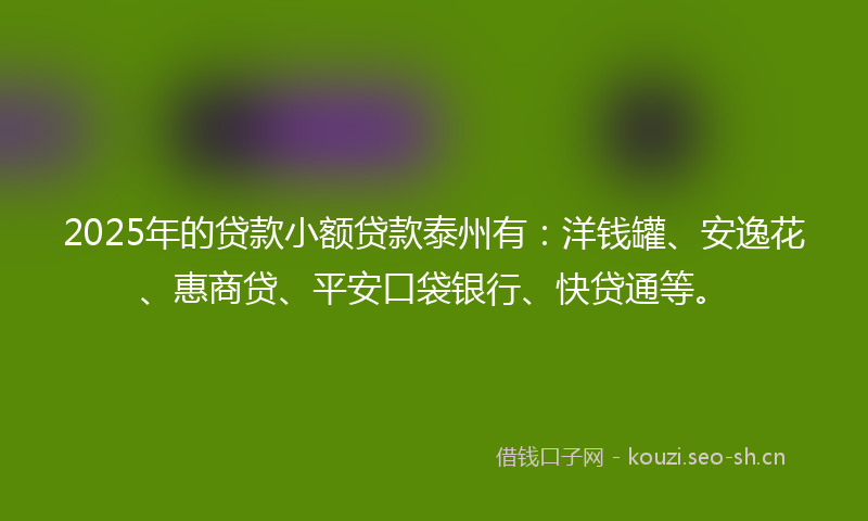 2025年的贷款小额贷款泰州有：洋钱罐、安逸花、惠商贷、平安口袋银行、快贷通等。