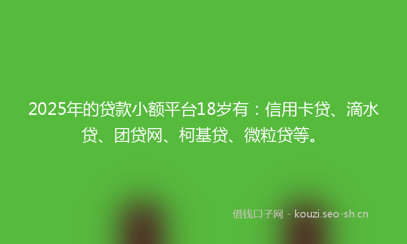 2025年的贷款小额平台18岁有：信用卡贷、滴水贷、团贷网、柯基贷、微粒贷等。