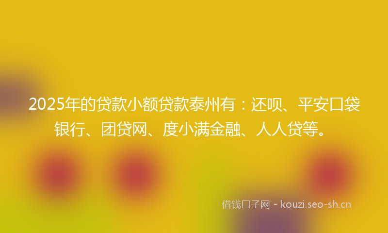 2025年的贷款小额贷款泰州有：还呗、平安口袋银行、团贷网、度小满金融、人人贷等。