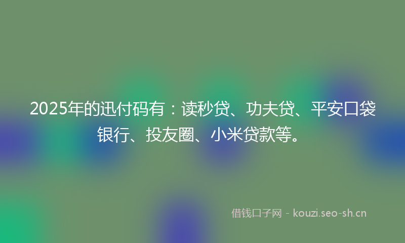 2025年的迅付码有：读秒贷、功夫贷、平安口袋银行、投友圈、小米贷款等。