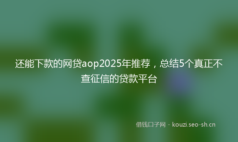 还能下款的网贷aop2025年推荐，总结5个真正不查征信的贷款平台