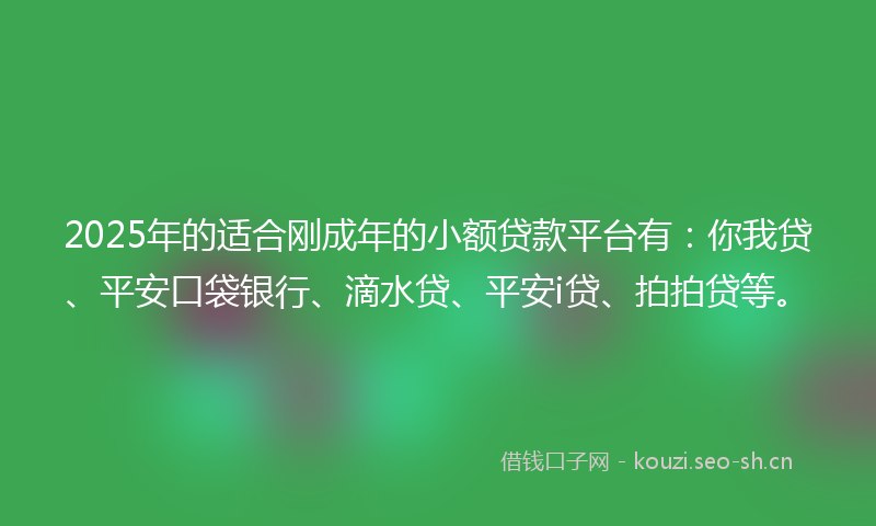 2025年的适合刚成年的小额贷款平台有：你我贷、平安口袋银行、滴水贷、平安i贷、拍拍贷等。