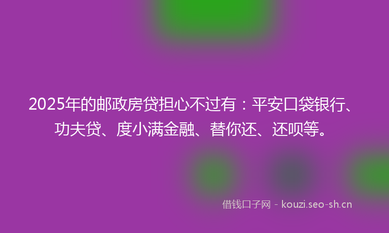2025年的邮政房贷担心不过有：平安口袋银行、功夫贷、度小满金融、替你还、还呗等。