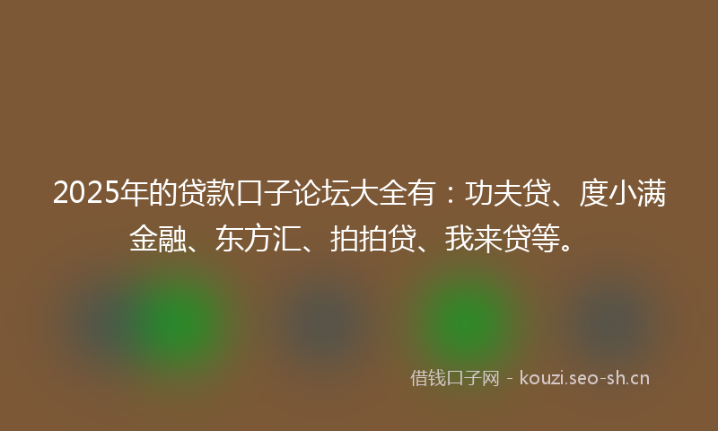 2025年的贷款口子论坛大全有：功夫贷、度小满金融、东方汇、拍拍贷、我来贷等。