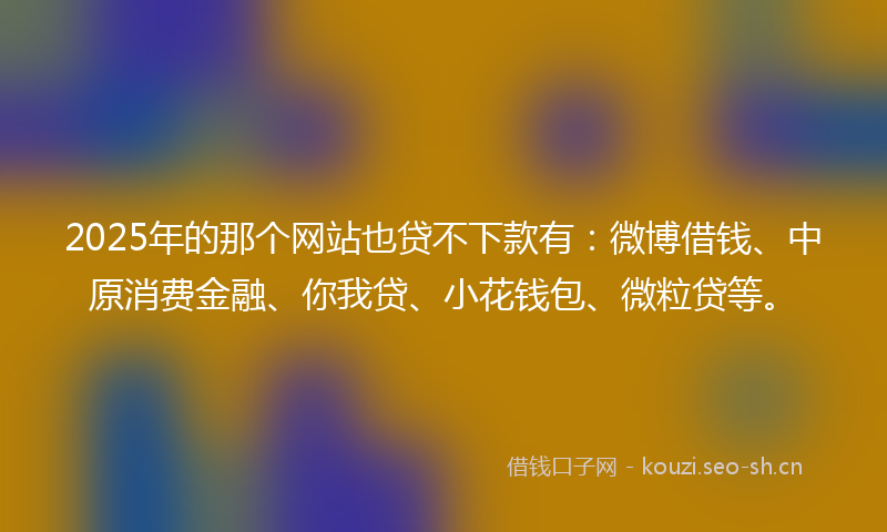 2025年的那个网站也贷不下款有：微博借钱、中原消费金融、你我贷、小花钱包、微粒贷等。