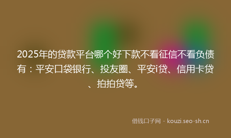 2025年的贷款平台哪个好下款不看征信不看负债有：平安口袋银行、投友圈、平安i贷、信用卡贷、拍拍贷等。