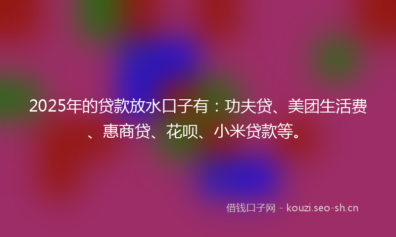 2025年的贷款放水口子有：功夫贷、美团生活费、惠商贷、花呗、小米贷款等。