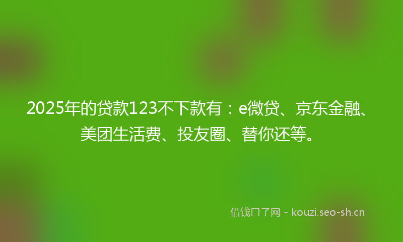 2025年的贷款123不下款有：e微贷、京东金融、美团生活费、投友圈、替你还等。