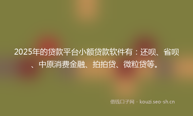 2025年的贷款平台小额贷款软件有：还呗、省呗、中原消费金融、拍拍贷、微粒贷等。