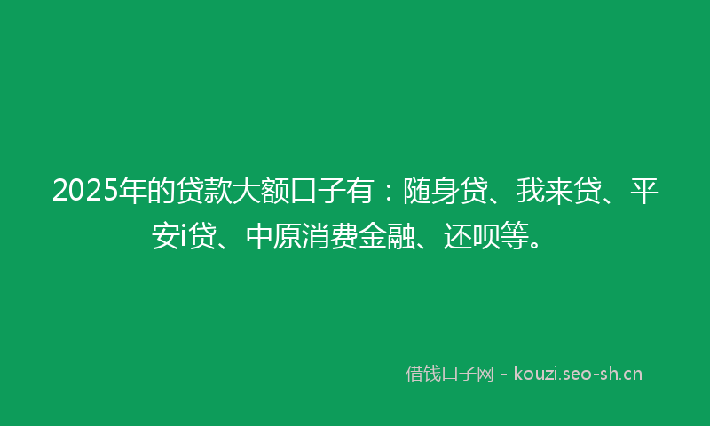 2025年的贷款大额口子有：随身贷、我来贷、平安i贷、中原消费金融、还呗等。