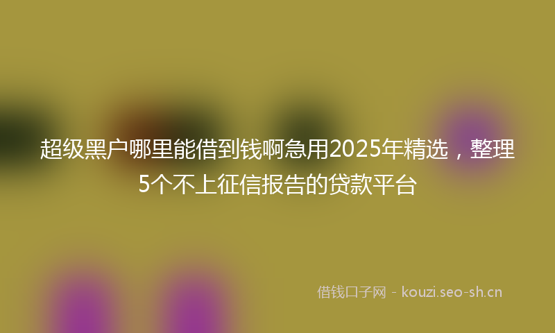 超级黑户哪里能借到钱啊急用2025年精选，整理5个不上征信报告的贷款平台