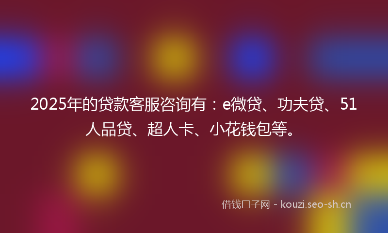 2025年的贷款客服咨询有：e微贷、功夫贷、51人品贷、超人卡、小花钱包等。
