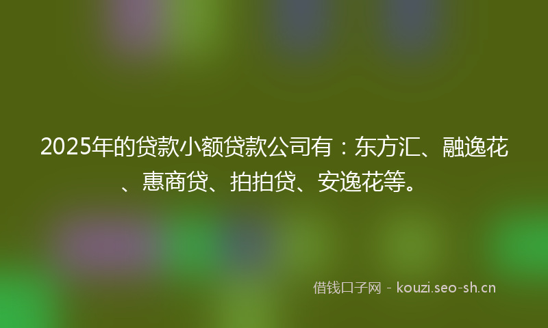 2025年的贷款小额贷款公司有：东方汇、融逸花、惠商贷、拍拍贷、安逸花等。
