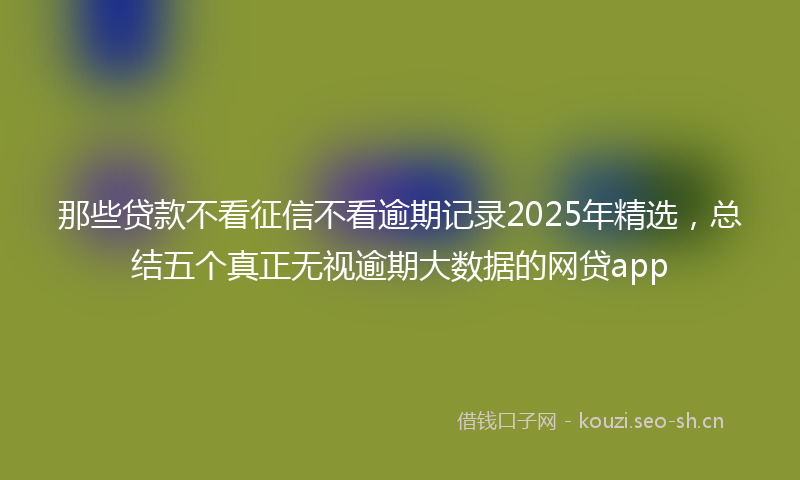 那些贷款不看征信不看逾期记录2025年精选，总结五个真正无视逾期大数据的网贷app