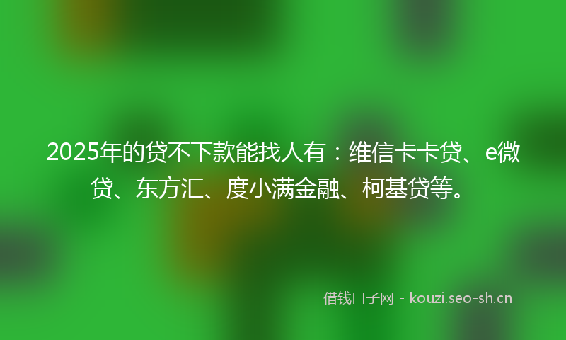 2025年的贷不下款能找人有：维信卡卡贷、e微贷、东方汇、度小满金融、柯基贷等。
