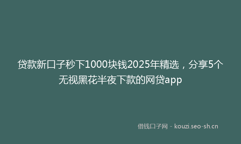 贷款新口子秒下1000块钱2025年精选，分享5个无视黑花半夜下款的网贷app