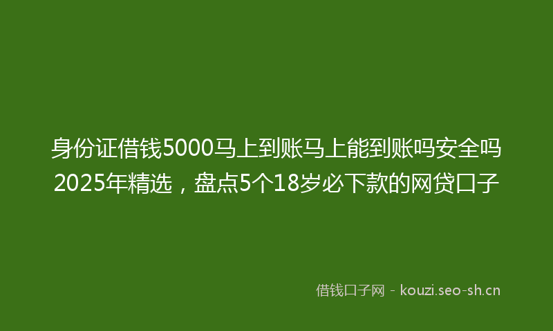 身份证借钱5000马上到账马上能到账吗安全吗2025年精选，盘点5个18岁必下款的网贷口子