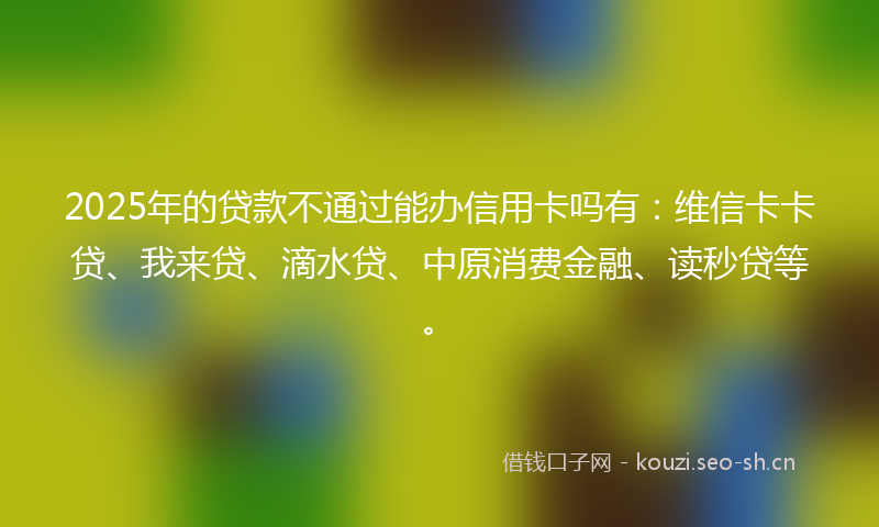 2025年的贷款不通过能办信用卡吗有：维信卡卡贷、我来贷、滴水贷、中原消费金融、读秒贷等。