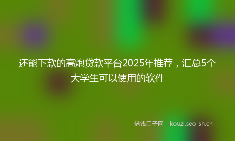 还能下款的高炮贷款平台2025年推荐，汇总5个大学生可以使用的软件