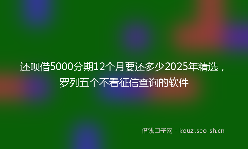 还呗借5000分期12个月要还多少2025年精选，罗列五个不看征信查询的软件