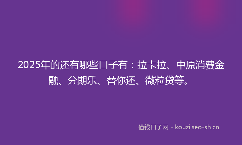 2025年的还有哪些口子有：拉卡拉、中原消费金融、分期乐、替你还、微粒贷等。