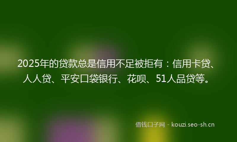 2025年的贷款总是信用不足被拒有：信用卡贷、人人贷、平安口袋银行、花呗、51人品贷等。