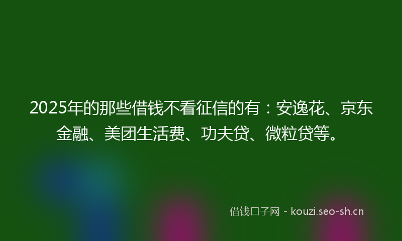 2025年的那些借钱不看征信的有：安逸花、京东金融、美团生活费、功夫贷、微粒贷等。
