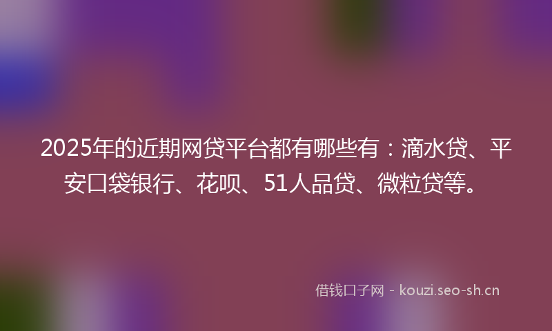 2025年的近期网贷平台都有哪些有：滴水贷、平安口袋银行、花呗、51人品贷、微粒贷等。