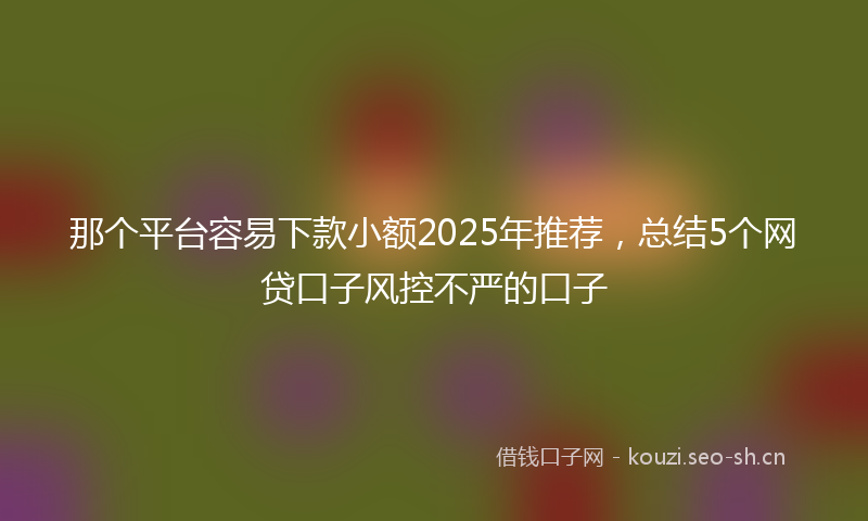 那个平台容易下款小额2025年推荐，总结5个网贷口子风控不严的口子