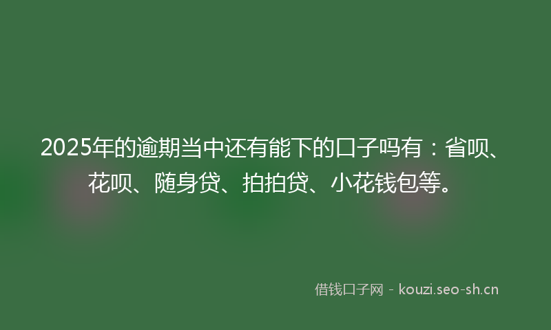 2025年的逾期当中还有能下的口子吗有：省呗、花呗、随身贷、拍拍贷、小花钱包等。