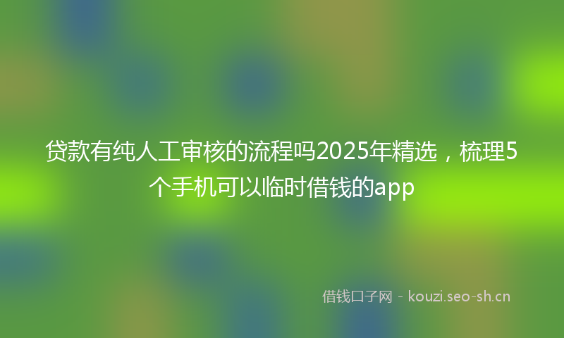 贷款有纯人工审核的流程吗2025年精选，梳理5个手机可以临时借钱的app