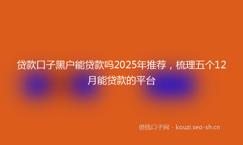 贷款口子黑户能贷款吗2025年推荐，梳理五个12月能贷款的平台