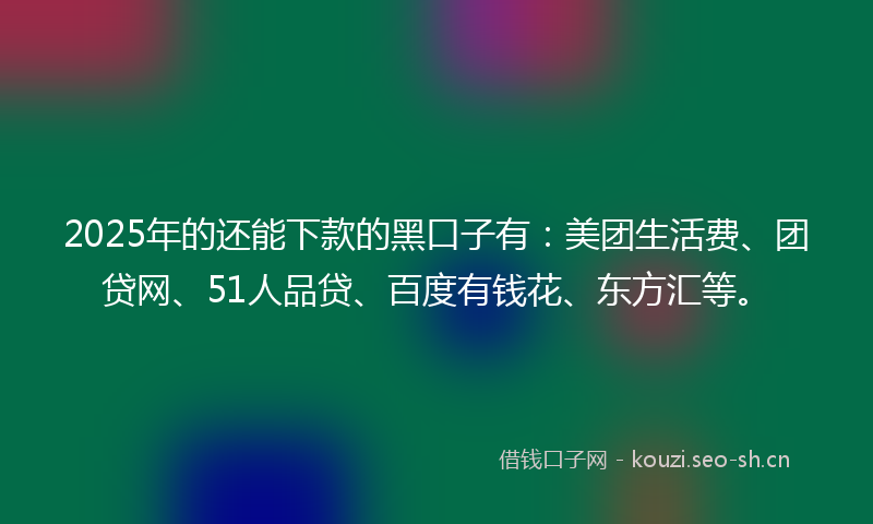 2025年的还能下款的黑口子有：美团生活费、团贷网、51人品贷、百度有钱花、东方汇等。