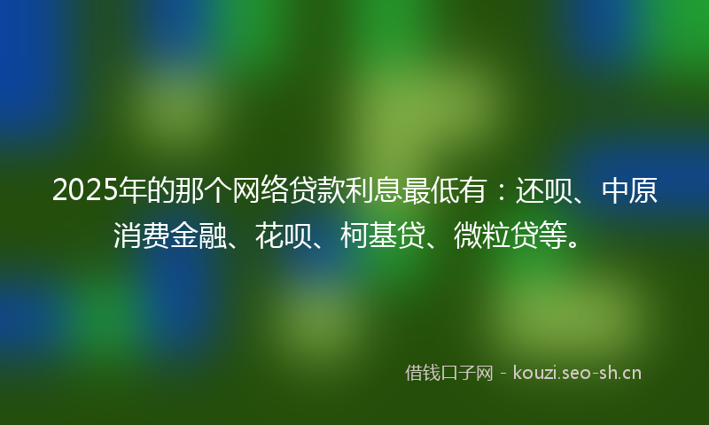 2025年的那个网络贷款利息最低有：还呗、中原消费金融、花呗、柯基贷、微粒贷等。