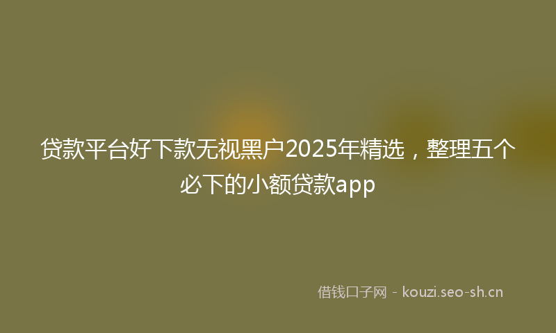 贷款平台好下款无视黑户2025年精选，整理五个必下的小额贷款app