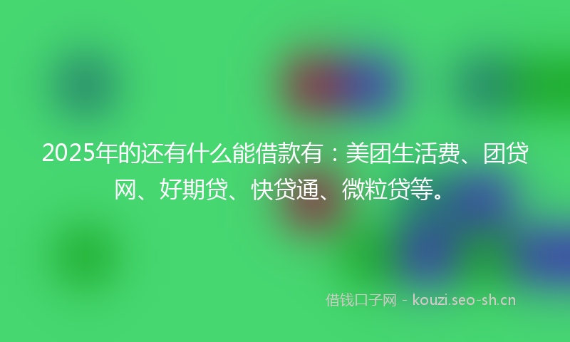 2025年的还有什么能借款有：美团生活费、团贷网、好期贷、快贷通、微粒贷等。