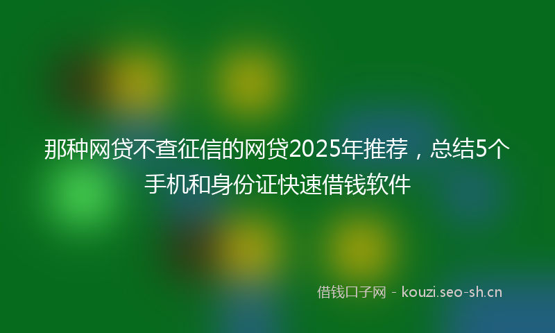 那种网贷不查征信的网贷2025年推荐，总结5个手机和身份证快速借钱软件