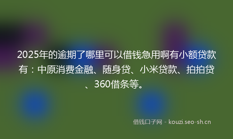 2025年的逾期了哪里可以借钱急用啊有小额贷款有：中原消费金融、随身贷、小米贷款、拍拍贷、360借条等。