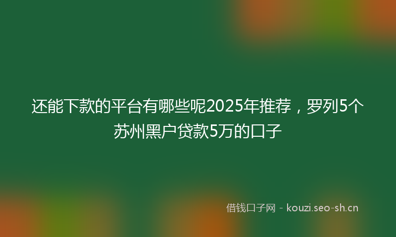 还能下款的平台有哪些呢2025年推荐，罗列5个苏州黑户贷款5万的口子