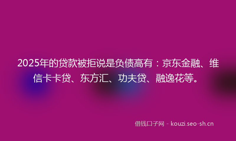 2025年的贷款被拒说是负债高有：京东金融、维信卡卡贷、东方汇、功夫贷、融逸花等。