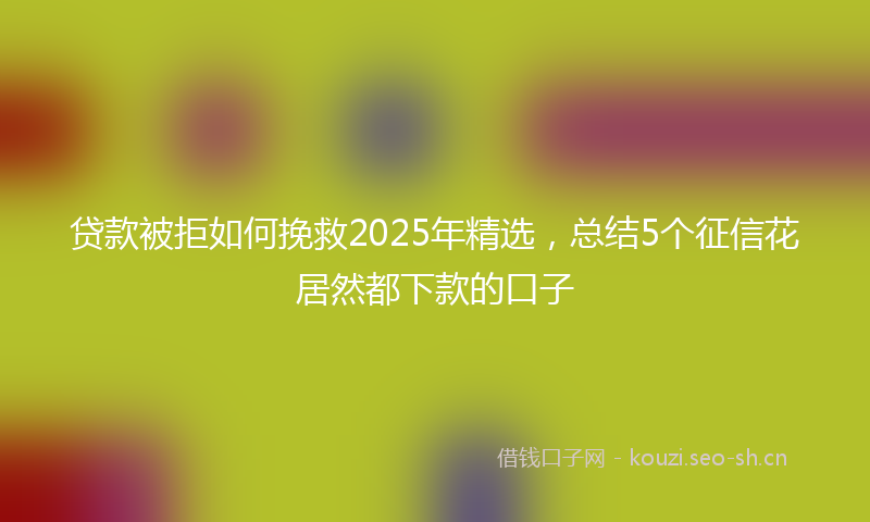 贷款被拒如何挽救2025年精选，总结5个征信花居然都下款的口子